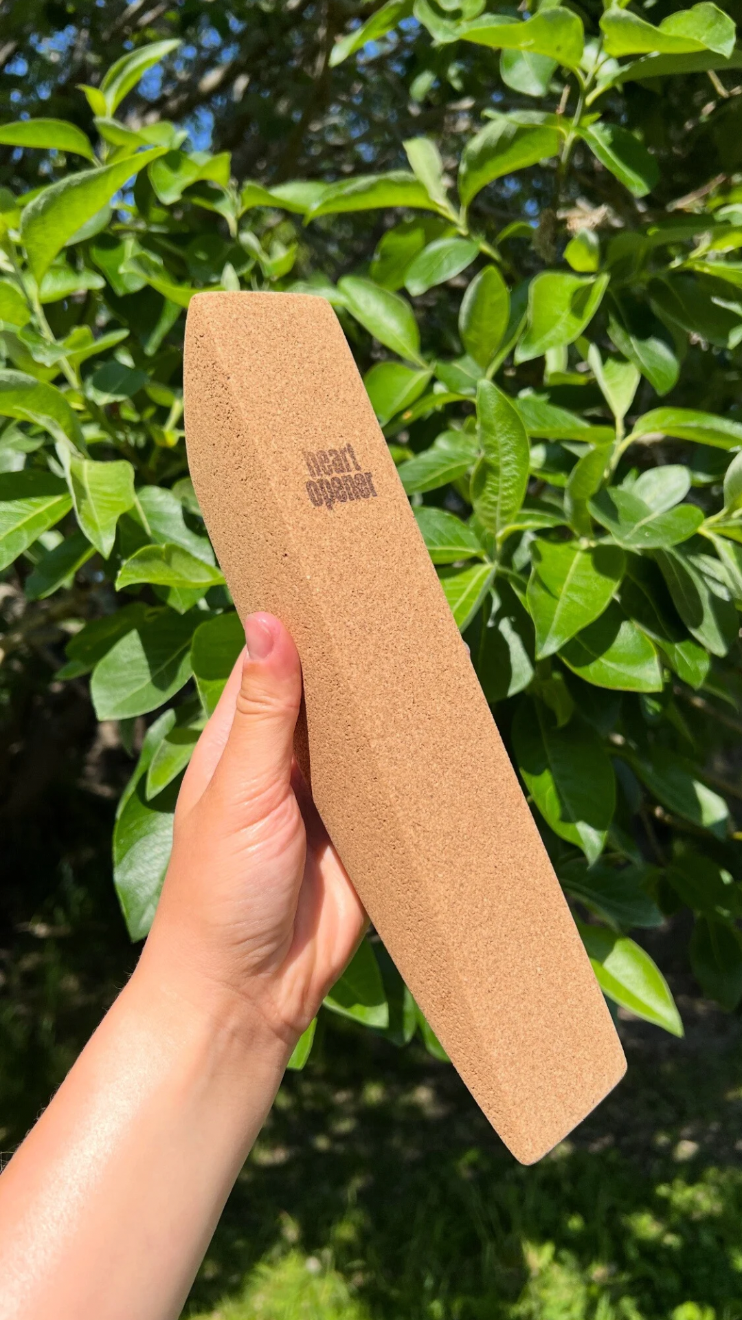 Studio Pack (Set of 10)